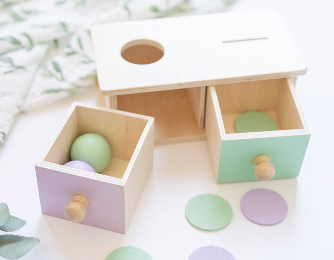 Montessori Color and Shape Sorting Toy